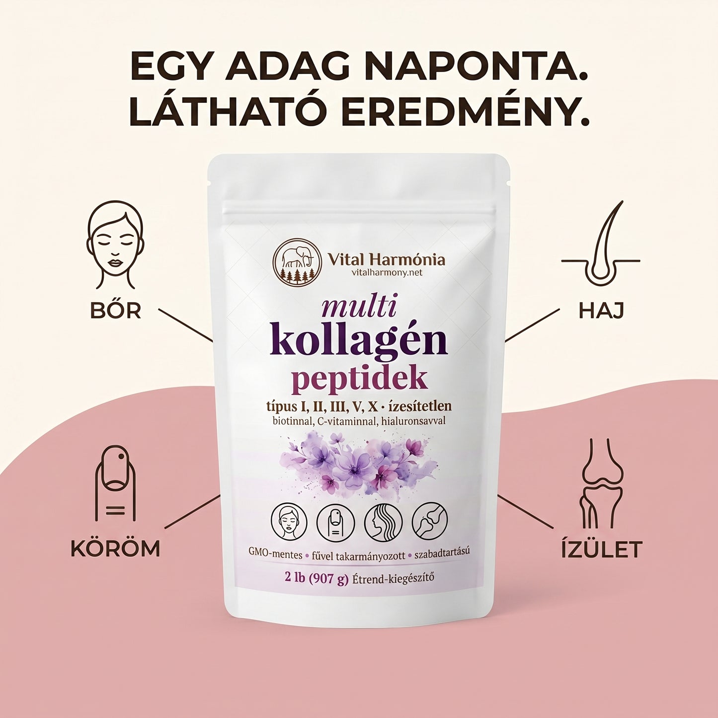 Collagen Harmonia™ fő előnyök - bőr haj köröm ízület - 5 típusú kollagén infografika