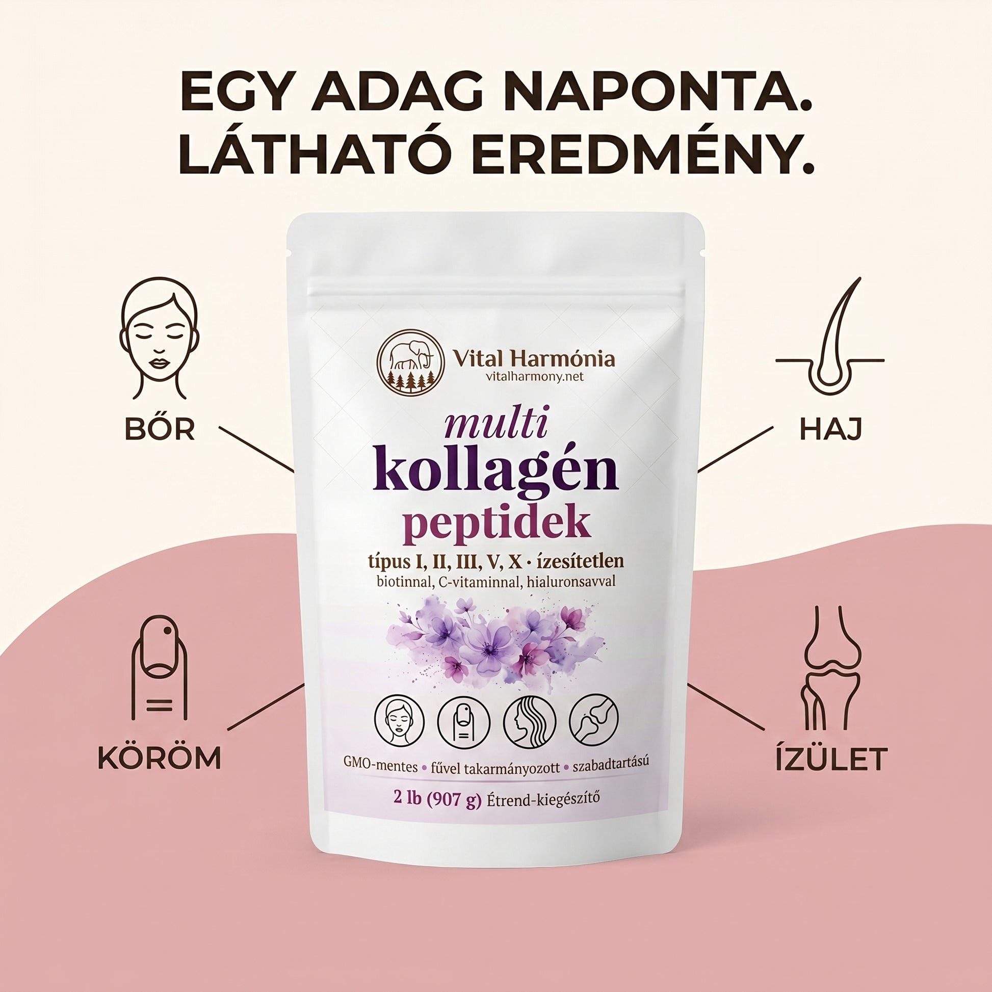 Collagen Harmonia™ fő előnyök - bőr haj köröm ízület - 5 típusú kollagén infografika